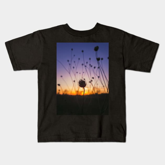 dry scabious Kids T-Shirt by psychoshadow